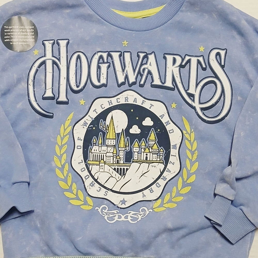Harry Potter Hogwarts Graphic Sweatshirt 4t - Picture 2 of 8